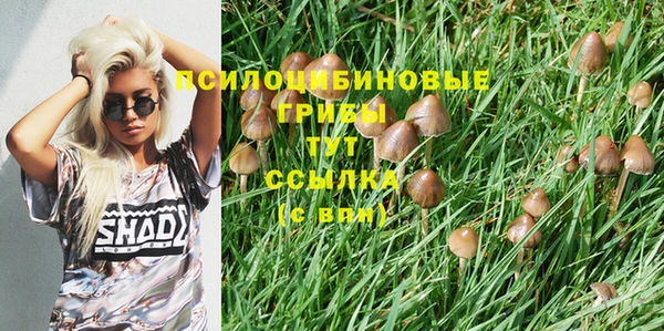 тгк Армянск