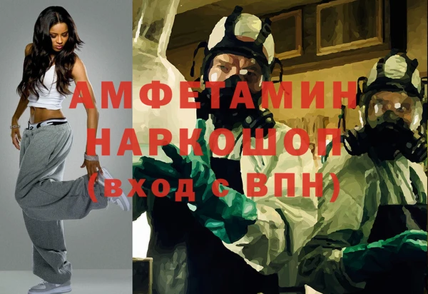 молекула духа Няндома