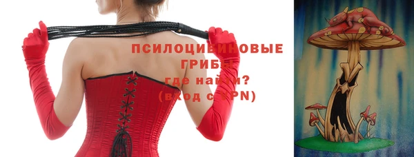 спиды Арсеньев